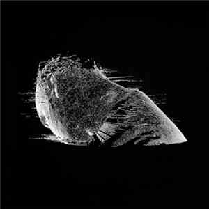 Coldplay - The Scientist