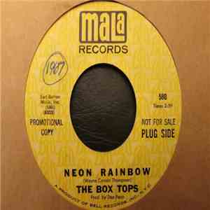 The Box Tops - Neon Rainbow