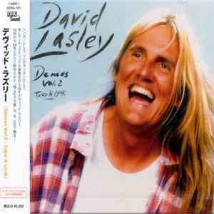 David Lasley - Demos Vol. 2: Take a Look
