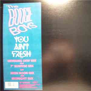 The Boogie Boys - You Ain't Fresh