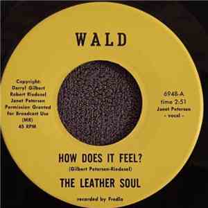 The Leather Soul - How Does It Feel?