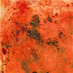 Barnacled - 6