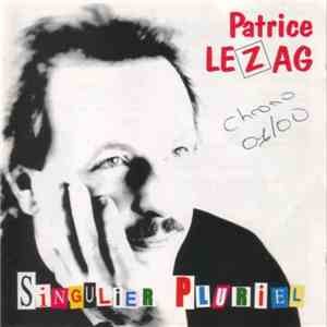 Patrice Le Zag - Singulier Pluriel