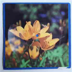 Penny Mc Lean / Baccara - Dance, Bunny Honey, Dance / Sorry, I'm A Lady