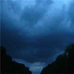 Forest Management - Dusk Memory