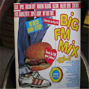 Various -   Big FM Mix Volume 2