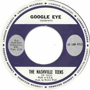 The Nashville Teens - Google Eye