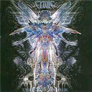 Cynic  - Traced In Air