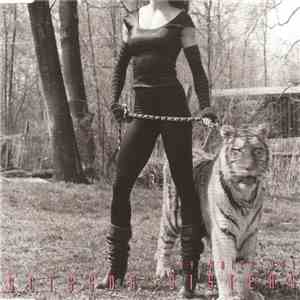 Scissor Sisters - Any Which Way
