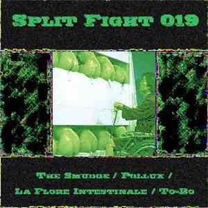 The Smudge / Pollux  / La Flore Intestinale / To-Bo - Split Fight 019