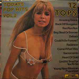 Unknown Artist - Todays Pop Hits: 12 Tops Volume 2