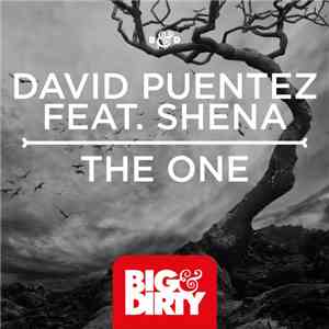 David Puentez Feat. Shena - The One