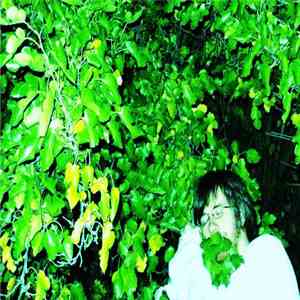 Golden Death Music - Provincial Escape
