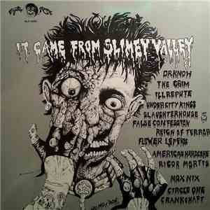 Various - It Came From Slimey Valley