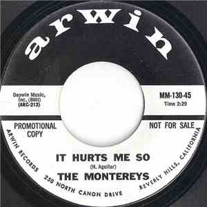 The Montereys  - It Hurts Me So / Goodbye My Love