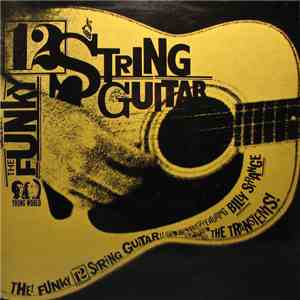 Billy Strange And The Transients  - The Funky Twelve String Guitar