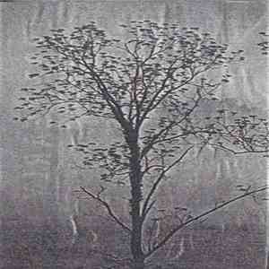 Phil Todd  - Mildew