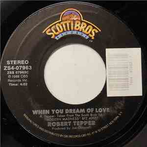 Robert Tepper - When You Dream Of Love
