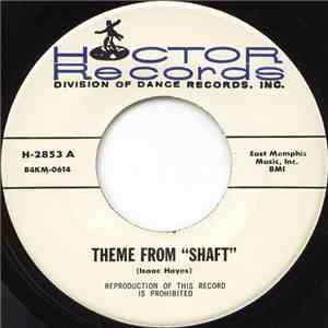 The Hoctor Band - Theme From 