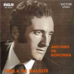 António De Noronha - Trela De Galgos