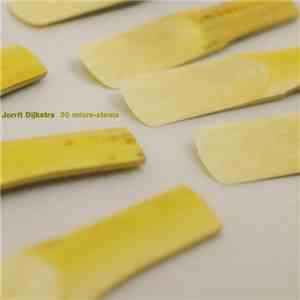 Jorrit Dijkstra - 30 Micro-Stems
