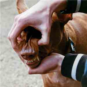 The New Tusk - Sloom