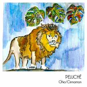 Peluché - Ohio