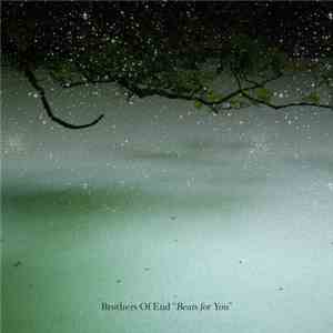Brothers Of End - Beats For You