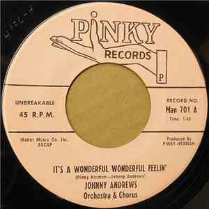 Johnny Andrews  - It's A Wonderful Wonderful Feelin'