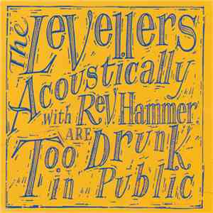 The Levellers Acoustically With Rev Hammer - Too Drunk In Public