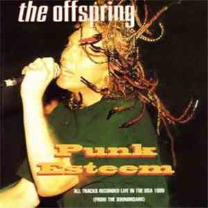 The Offspring - Punk Esteem