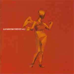 Tomoyasu Hotei - Guitarhythm Forever Vol.2
