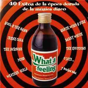 Various - What A Feeling - 40 Éxitos De La Época Dorada De La Música Disco