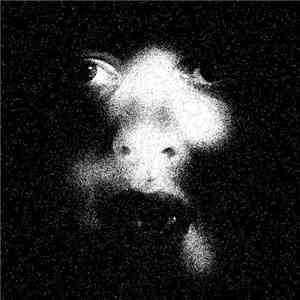 Yeasayer - Reagan's Skeleton