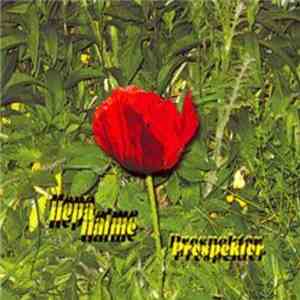 Hepa Halme - Prospektor