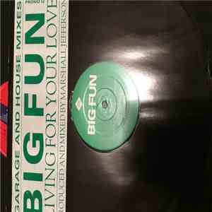 Big Fun - Living For Your Love