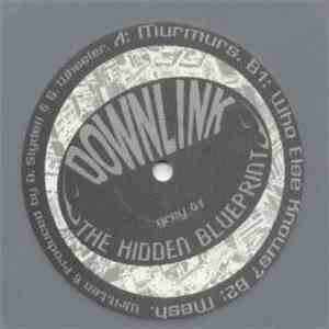 Downlink - The Hidden Blueprint