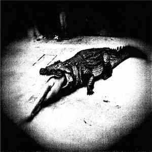 I Died - Shadow Enclosure