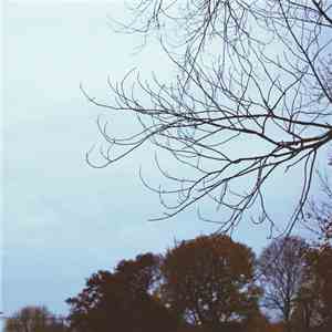 SineRider  - Autumn Hiss