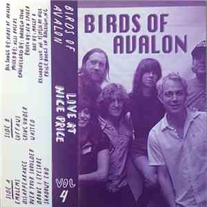 Birds Of Avalon - Live At Nice Price Vol. 4