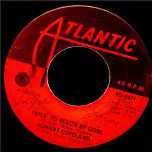 Johnny Copeland - Tryin' To Reach My Goal