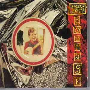 The Bats - Courage
