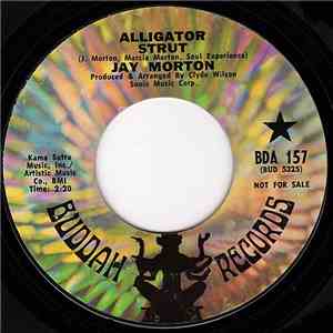 Jay Morton - Alligator Strut