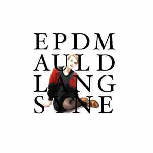 El Perro Del Mar - Auld Lang Syne