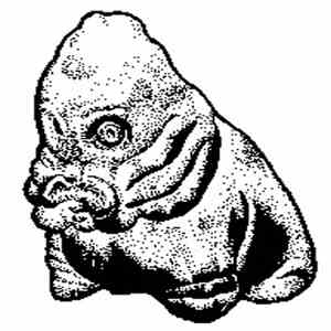Mossenek - Sublingual Glossectum