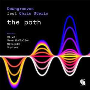 Downgrooves Feat Chris Sterio - The Path