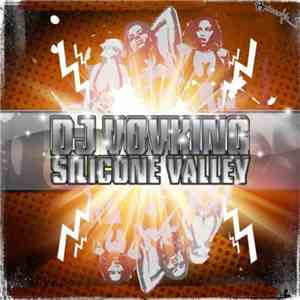 DJ Vovking - Silicone Valley