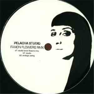 Pelacha - Studio