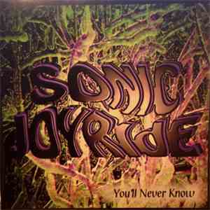 Sonic Joyride - You'll Never Know
