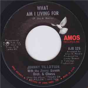 Johnny Tillotson With Jimmy Bowen Orchestra & Chorus - What Am I Living For